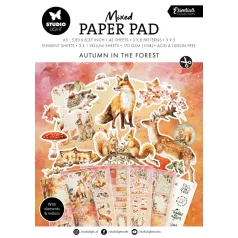   Papírkészlet A5 Studio Light Autumn In The Forest Essentials Mixed Paper Pad (42 lap)