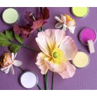 PanPastel tégelyes porpasztell készlet, 7 db + kiegészítők - Lia Griffith Designer Kit