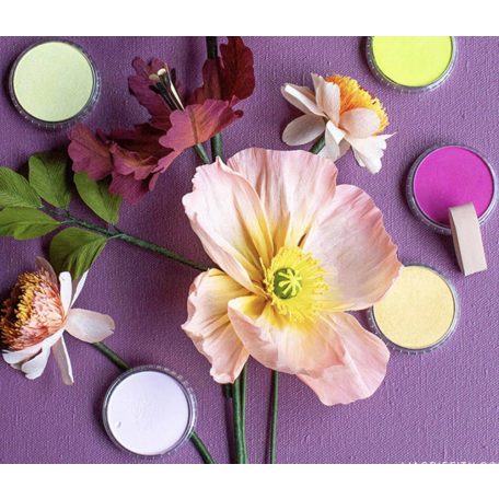 PanPastel tégelyes porpasztell készlet, 7 db + kiegészítők - Lia Griffith Designer Kit