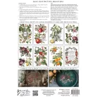 IOD CLEMENTINE Transzfer fólia 8"X12" (20x30 cm) IOD Decor Transfer (8 ív) - New Winter 2025