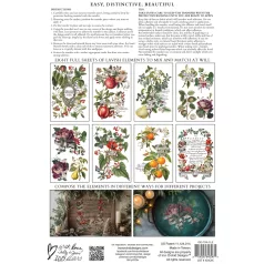   IOD CLEMENTINE Transzfer fólia 8"X12" (20x30 cm) IOD Decor Transfer (8 ív) - New Winter 2025