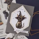 Spellbinders Kaparós matrica Stay Spooky Rub-On (2 ív)