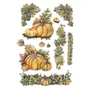 Stamperia Whispering Woods Szilikon öntőforma A5 Pumpkins Silicon Mould (1 db)