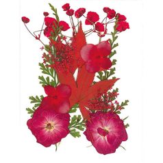   Szárított virág műgyantához 10x7cm Red - Stafil Dry pressed flowers (1 csomag)