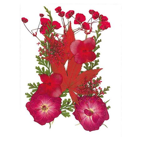 Szárított virág műgyantához 10x7cm Red - Stafil Dry pressed flowers (1 csomag)