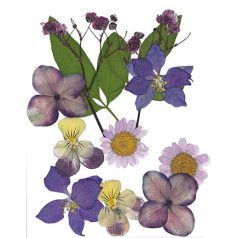  Szárított virág műgyantához 10x7cm Purple - Stafil Dry pressed flowers (1 csomag)