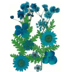   Szárított virág műgyantához 10x7cm Blue - Stafil Dry pressed flowers (1 csomag)