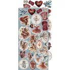 Craft O'Clock Kivágóív Timeless Grace Harmony Extras to Cut Set (18 ív)