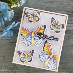   Spellbinders Szilikonbélyegző Butterfly Sentiments  Clear Stamps (1 csomag)
