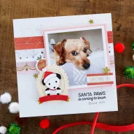   Spellbinders Vágósablon Special Pet Delivery  Cutting Dies (1 csomag)