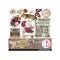 Ciao Bella Book Lovers Kivágóív készlet 6" (15 cm) Fussy Cut Pad (24 ív)