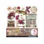 Ciao Bella Book Lovers Kivágóív készlet 6" (15 cm) Fussy Cut Pad (24 ív)