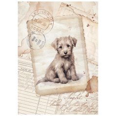   Stamperia Quiet Days Rízspapír készlet A6 Vintage Photography Mini Rice Paper (8 ív)