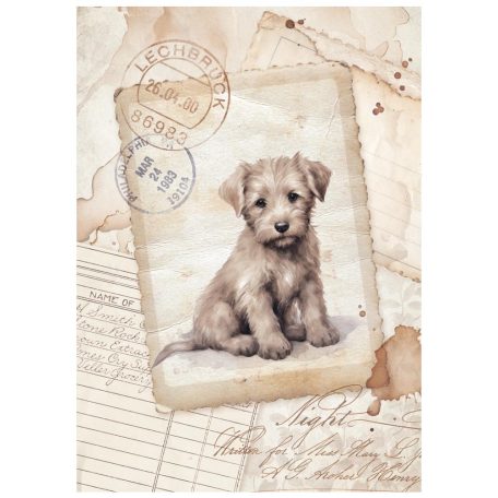 Stamperia Quiet Days Rízspapír készlet A6 Vintage Photography Mini Rice Paper (8 ív)