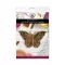 Majestic Butterfly Szilikon öntőforma Katy Sue Designs Silicon Mould (1 db)
