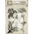 Stamperia Herbarium Silvae Szilikonbélyegző A5 Tree Branches Clear Stamps (1 csomag)