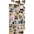 Craft O'Clock Kivágóív Lovely Pets Mix Extras to Cut Set (18 ív)