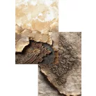 Alchemy of Art Scrapbook papírkészlet A4 In Silence Paper Collection Set (16 lap)