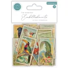 Díszítőelem The Collector - Birds Craft Consortium Chipboard Ephemera (1 csomag)
