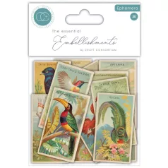   Díszítőelem The Collector - Birds Craft Consortium Chipboard Ephemera (1 csomag)