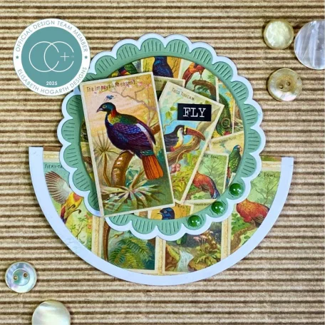 Díszítőelem The Collector - Birds Craft Consortium Chipboard Ephemera (1 csomag)