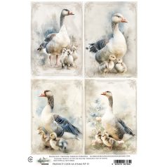   Alchemy of Art Rízspapír A4 - Spring 15 - Rice Paper (1 ív)