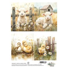   Alchemy of Art Rízspapír A4 - Spring 6 - Rice Paper (1 ív)