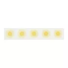 Echo Park In Full Bloom Dekorációs ragasztószalag Spring Sunshine Washi Tape (1 db)