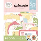 Echo Park In Full Bloom Kivágatok Ephemera (1 csomag)