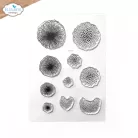 ECD Szilikonbélyegző - Flower Centers Stamps (1 csomag)