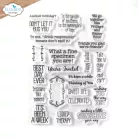 ECD Szilikonbélyegző - Sunny Days Stamps Playful Sentiments (1 csomag)