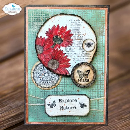 ECD Vágósablon - Whispers of Nature Dies Mushrooms & Tree Stumps (1 csomag)