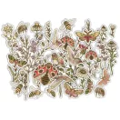 Vintage Summer Kivágatok Craft Consortium Premium Ephemera Set  (1 csomag)