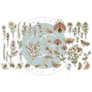 Vintage Summer Kivágatok Craft Consortium Premium Ephemera Set  (1 csomag)