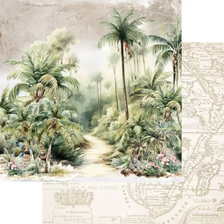 Alchemy of Art Scrapbook papírkészlet 8" (20 cm) Wild Adventures Paper Collection Set (12 lap)