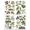Arden Creative Studio Kivágatok Christmas Cheer Laser Cuts Foliage (1 csomag)