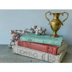   IOD Bookish - Könyvgerinc Öntőforma 6″X10″ Decor Mould (1 db)