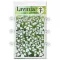 Lavinia Borostyán stencil – 15 × 20 cm  Ivy Stencils