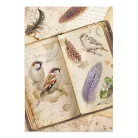 Stamperia All Around  Junk Journal A5 Focus Points (1 csomag)