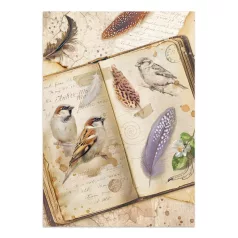   Stamperia All Around  Junk Journal A5 Focus Points (1 csomag)