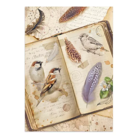 Stamperia All Around  Junk Journal A5 Focus Points (1 csomag)