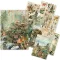 Ciao Bella Rizspapír készlet A5 The Nature Journal Rice Paper Mixed (8 ív)