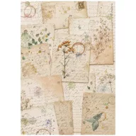   Stamperia Flowers and Poems / virágok és versek rizspapír A4 – botanikai lapok
