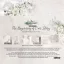 Alchemy of Art The Beginning of Our Story scrapbook papírkészlet 8" (20,3 cm) (12 lap)
