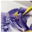 Faber-Castell Polychromos Iris / Írisz – 3 színű kreatív készlet (3 db)
