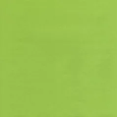   Kreatív papír 30 cm, Curious Metallics / világos zöld - vékony (1 ív)