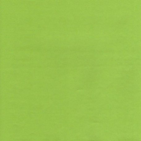 Kreatív papír 30 cm, Curious Metallics / világos zöld - vékony (1 ív)