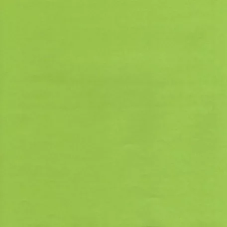 Kreatív papír 30 cm, Curious Metallics / világos zöld - vékony (1 ív)