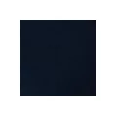   Scrapbook papír 12", Specialty Paper / fényes fekete -  (1 lap)