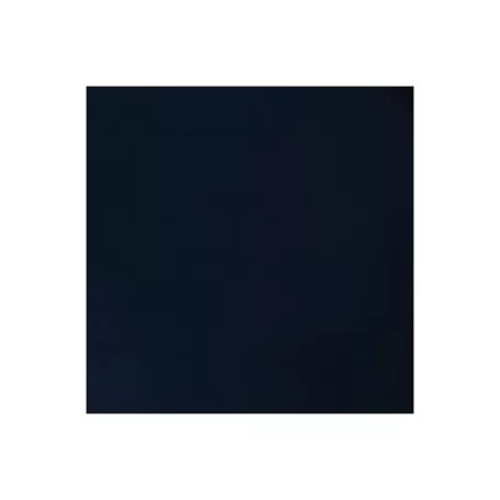 Scrapbook papír 12", Specialty Paper / fényes fekete -  (1 lap)